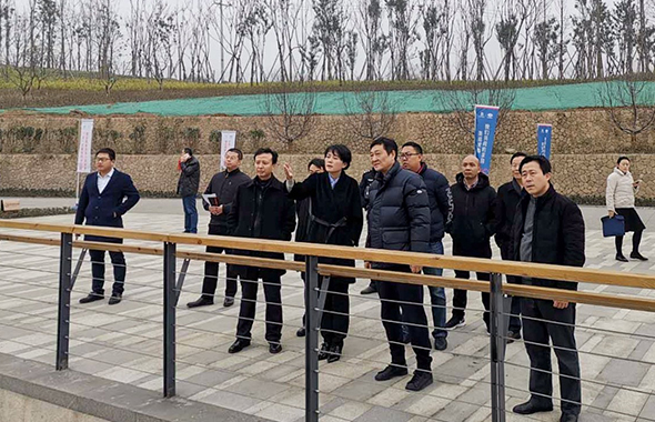 成都市副市長(zhǎng)敬靜調(diào)研鳳凰山露天音樂(lè)公園