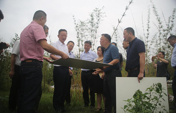 市委常委劉守成同志調(diào)研“國(guó)賓片區(qū)”市政公園及配套設(shè)施建設(shè)推進(jìn)情況