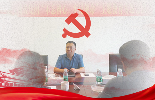 集團(tuán)黨委委員、副董事長陳崑講“不忘初心、牢記使命”主題教育專題黨課