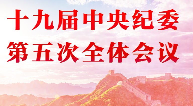 全會(huì)觀察丨深刻領(lǐng)悟 狠抓落實(shí)