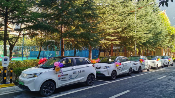 向上而生 ，“植樹”城市5_meitu_20.jpg