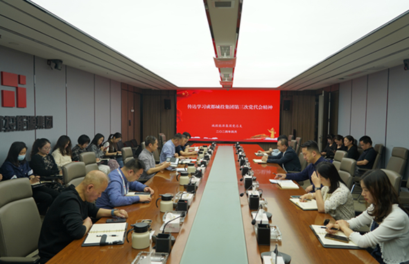 能源集團(tuán)召開專題會(huì)議傳達(dá)學(xué)習(xí)成都城投集團(tuán)第三次黨代會(huì)精神